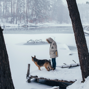 man-winter-coat-forest-with-shepherd-dog (2)_3531_3531.jpg